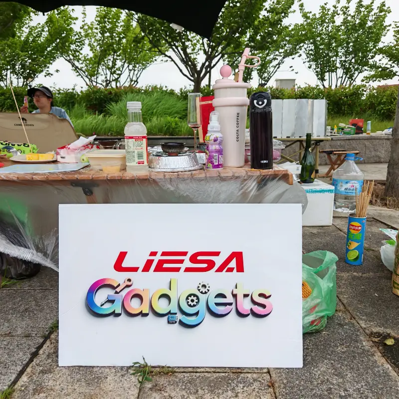 LIESA Gadgets organiseert teambuilding voor buitenkamperen om het team voor de wereldwijde activiteiten op het gebied van schoonmaakapparatuur te verenigen